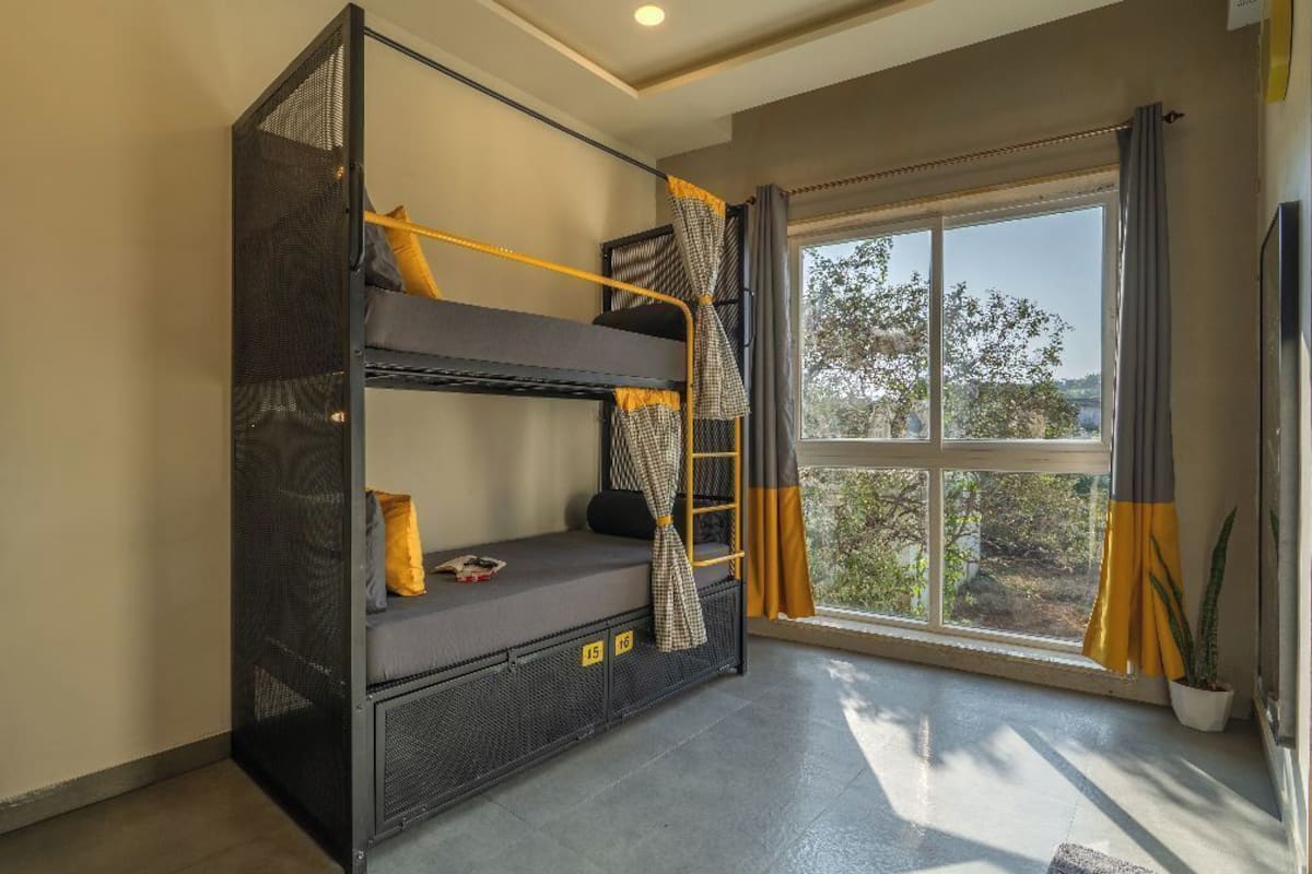 A bunk bed with a ladder, a window with curtains, and a potted plant.