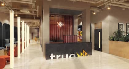 Student Only True Nottingham