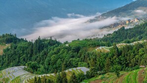 Campi di riso a terrazza, una fitta foresta e un villaggio nella valle.