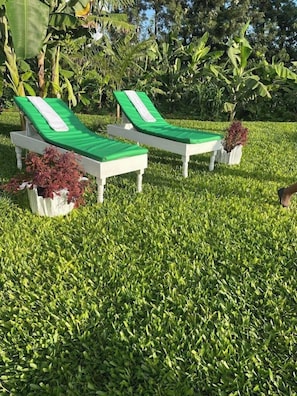 Garden - Plantains Place Karatina (Karatina)