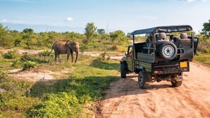 A safari vehicle on a dirt road with an elephant in the background. - The Shivaay AIIMS by Lovely Hospitality (Rishikesh)