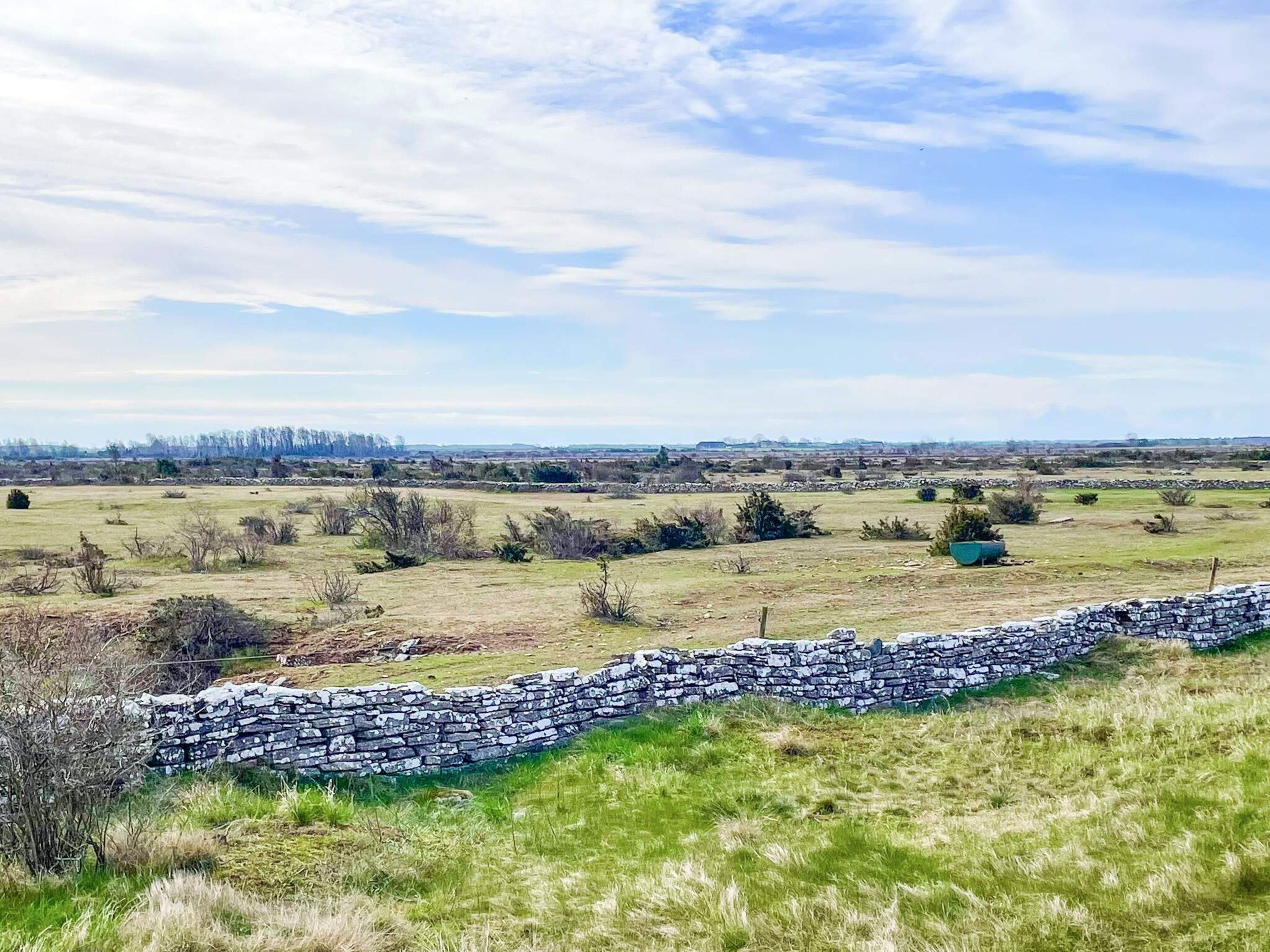 A rural landscape with a stone wall and sparse vegetation.