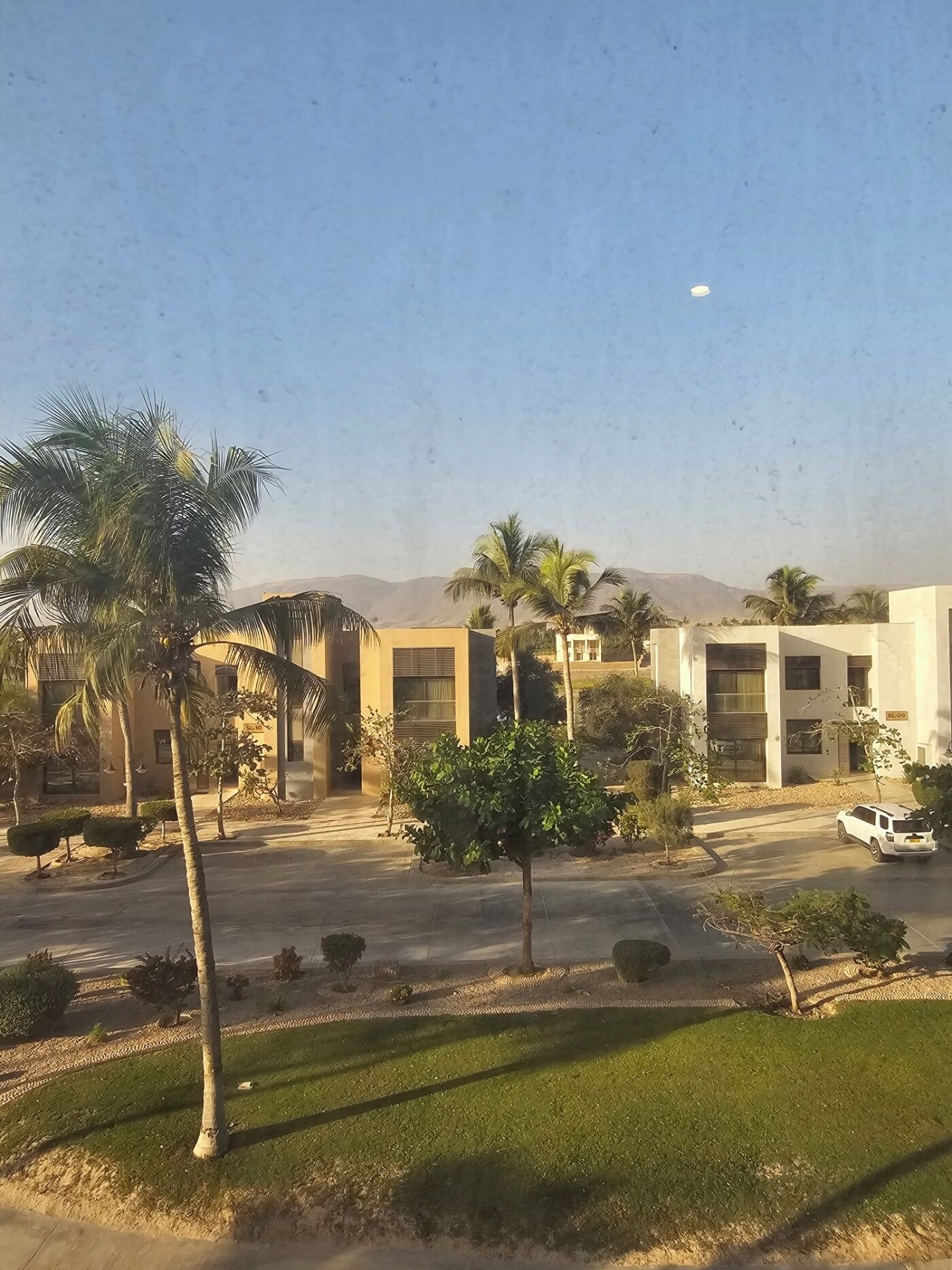 A modern building with a parking area, palm trees, and a clear sky.