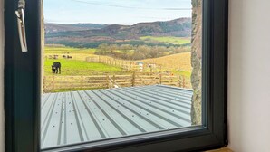 Blick durch ein Fenster mit einer Metallen Dachrinne, einem Holzzaun und einer weidenden Kuh in der Ferne.