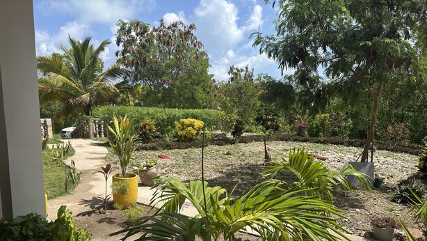 Property grounds - Spacious Deluxe Double Room with AC (Paje)