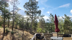 Outdoor dining - Monte Bello Chalet-Beautiful Mountain Cabin, Ruidoso, NM w/AC, private, .7 acres (Ruidoso)