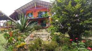 Un edificio colorido con balcón, rodeado de un jardín con diversas plantas y un pequeño estanque.