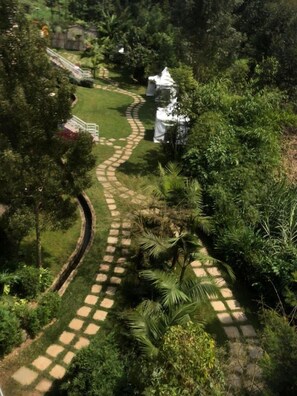 A garden pathway with a stone border, surrounded by lush greenery and palm trees.
