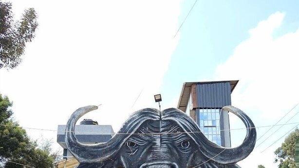 A building with a large bull head sculpture at the entrance, a staircase leading to the main entrance, and a well-maintained garden with shrubs and flowers. - Ole Sidai Riverine Gardens (Karatina)
