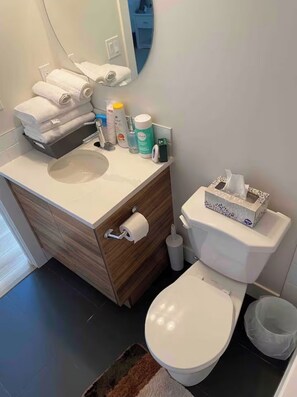 Asciugacapelli, asciugamani, sapone, carta igienica