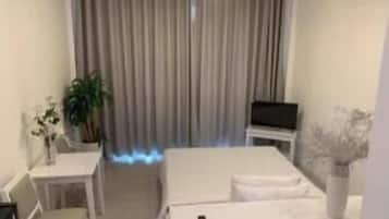 Desk, iron/ironing board, free WiFi