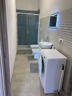 Shower, hair dryer, bidet, towels