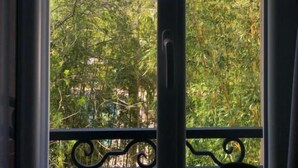 Blick durch ein Fenster mit Balkonbrüstung auf einen dicht bewaldeten Hang.