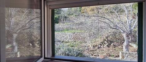 Appartement (2 Bedrooms) | Intérieur