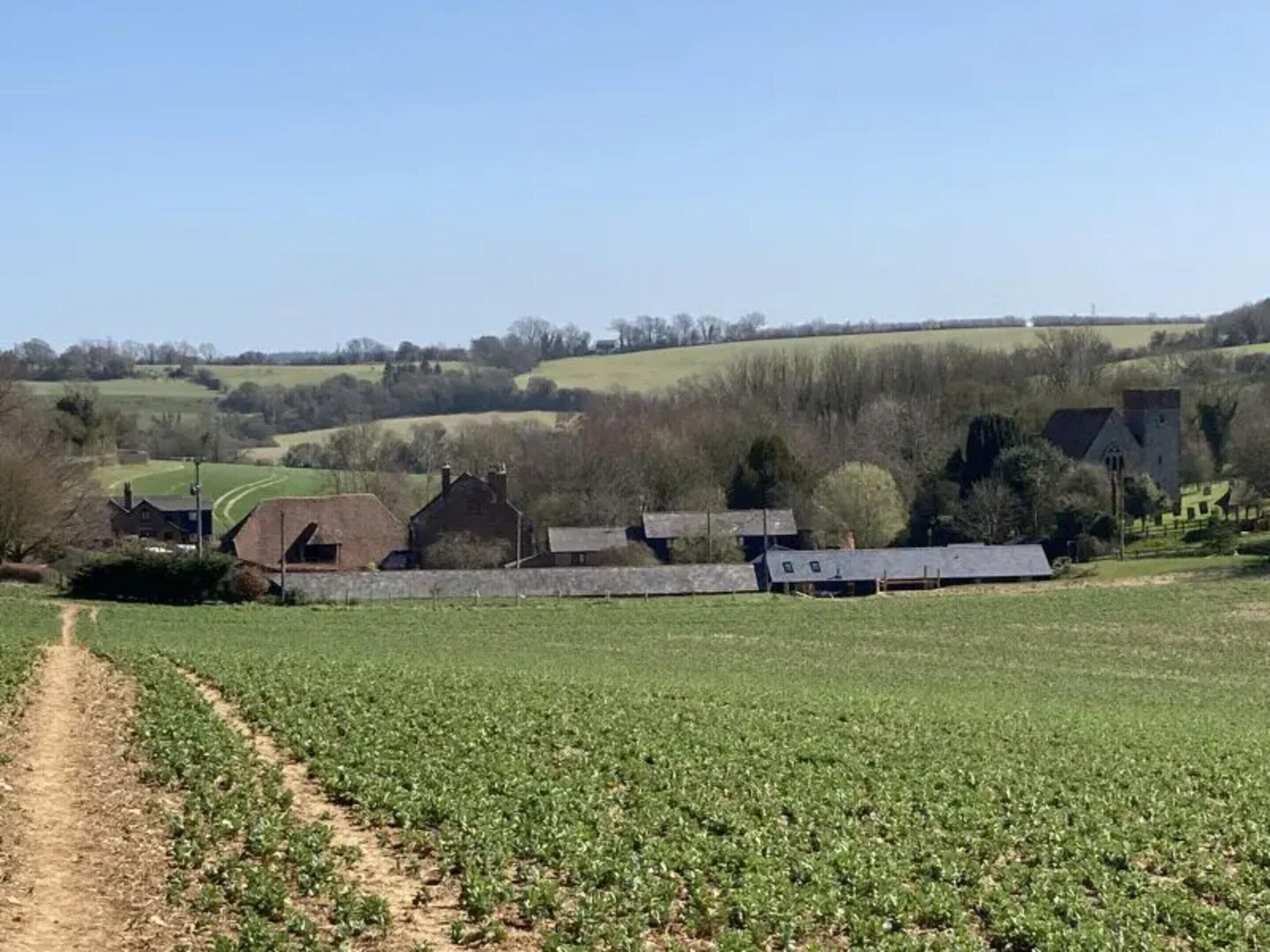 A rural landscape with a dirt path leading to a row of houses and barns.