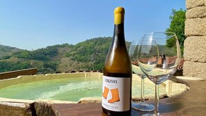 A bottle of wine and a glass on a wooden table with a scenic view of hills and a hot spring in the background. - Villa in the Ribeira Sacra, O Batuxo (Pantón (Lugo))