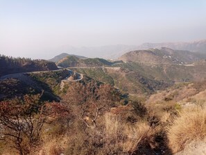 Miscellaneous - gjhdjdidjhd (Al Quwaiiyah)