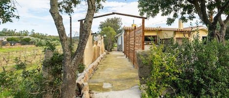 Un sendero conduce a un edificio con una puerta de madera rústica, rodeado de vegetación y árboles.