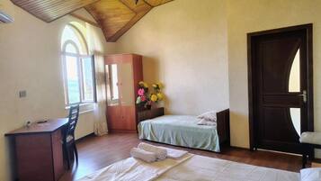 Iron/ironing board, free WiFi