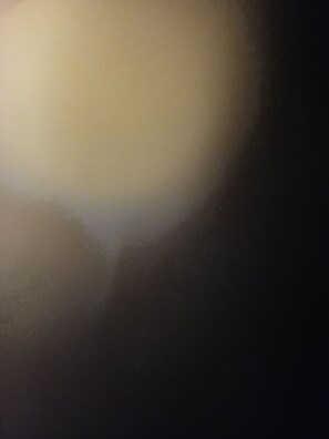 Miscellaneous - Bdbxbxn (Singapore)