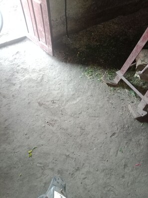 Miscellaneous - Doufdhg (Al Quwaiiyah)