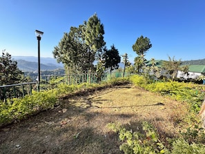 Un chemin pavé bordé d’une rambarde métallique, entouré de verdure et d’arbres, mène à un bâtiment doté d’un toit végétalisé.