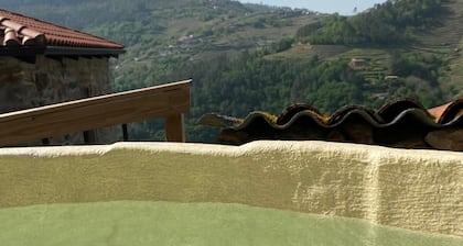 Villa in the Ribeira Sacra, A Dorna
