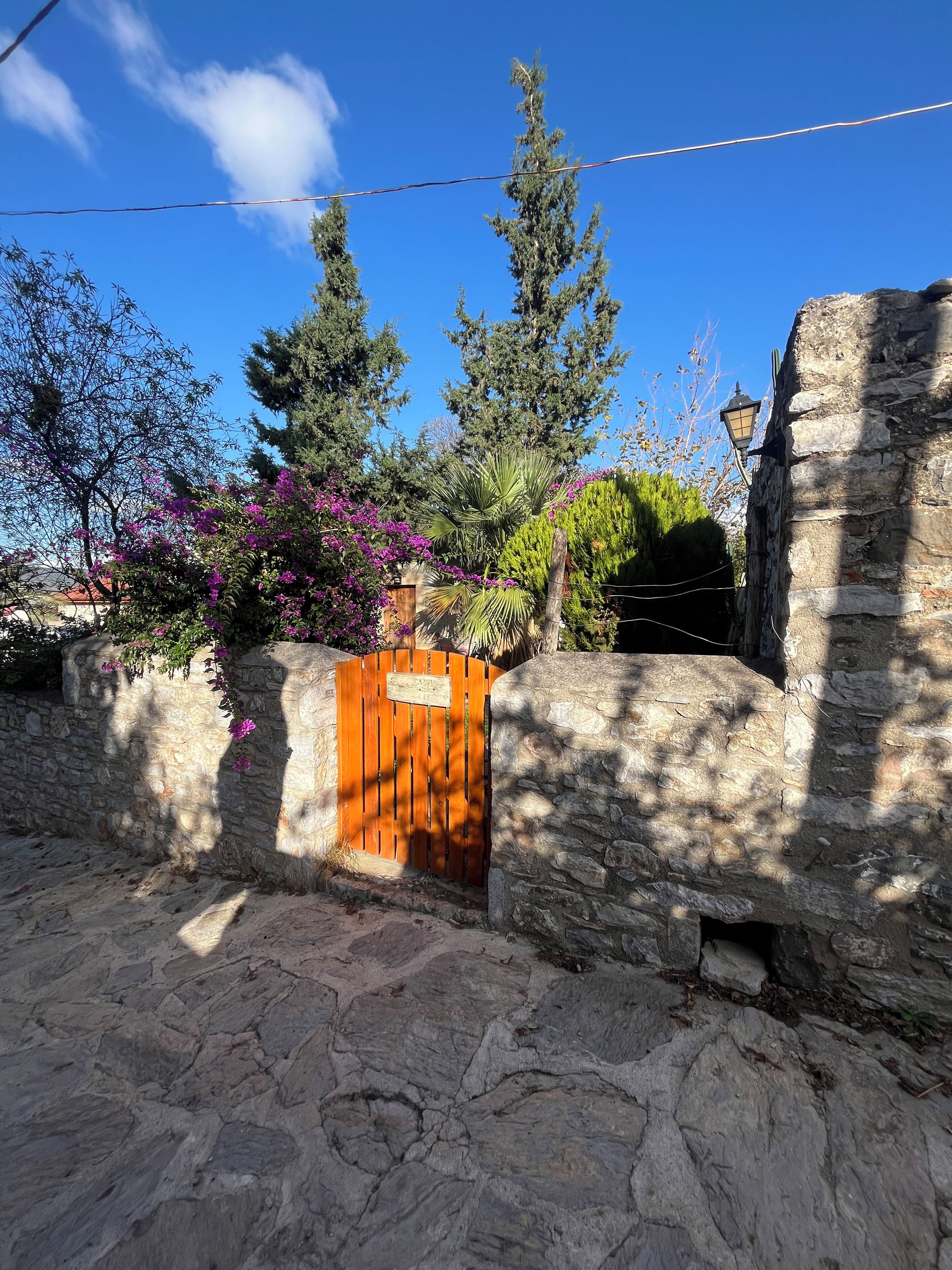 Junior Studio Suite, Garden View | Property grounds