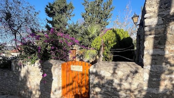 المنطقة المحيطة بالمنشأة