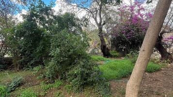 Junior-Studiosuite, Gartenblick | Unterkunftsgelände