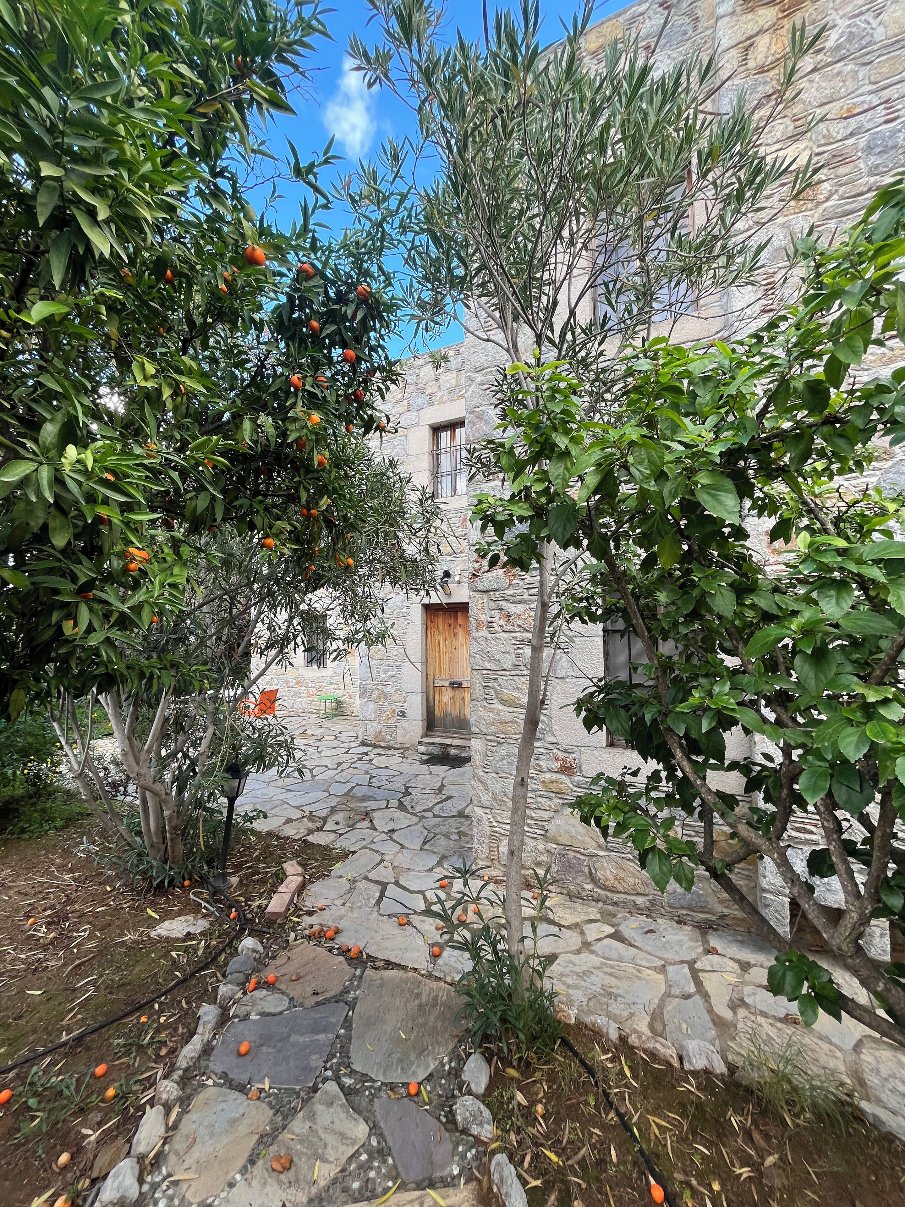 Junior Studio Suite, Garden View | Property grounds