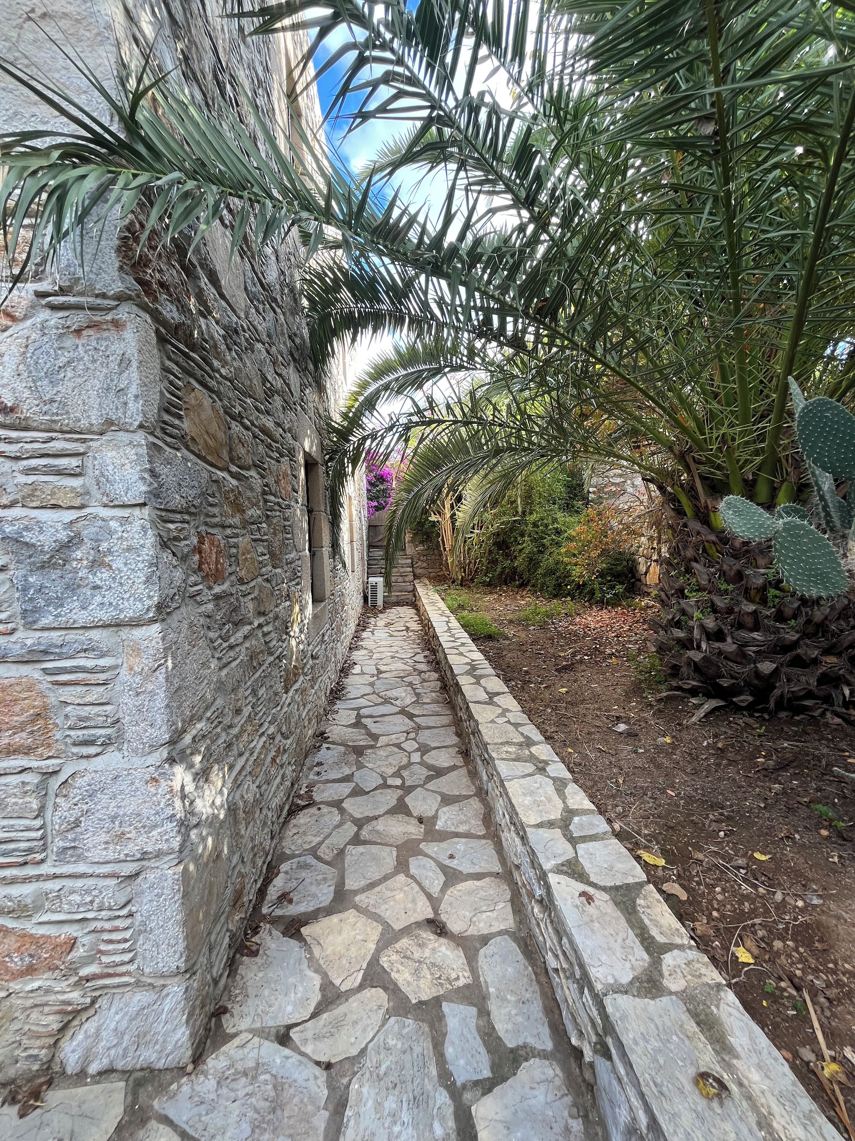 Junior Studio Suite, Garden View | Property grounds