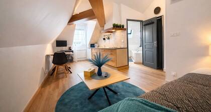 studio cosy plein centre