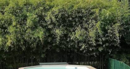 Sacha house in a quiet urban area