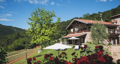Coste del Gaggio - country house B&B Garda Trentino