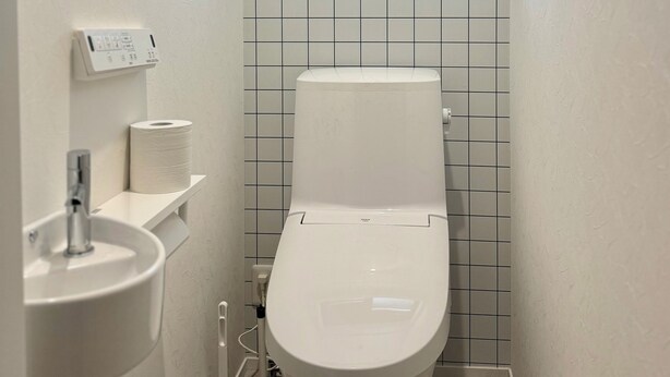 A bathroom with a toilet, a sink, and a toilet paper holder. - NIKAIDO SKY TERRACE (Tokyo)