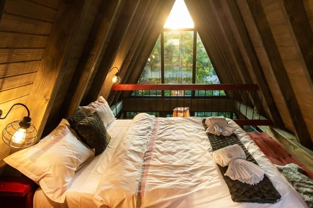 واي فاي مجانًا