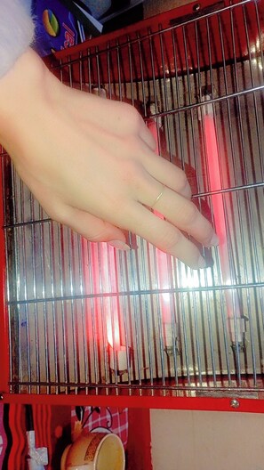 Kahden hengen perushuone | Sekalaista