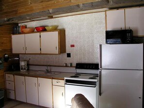 Private kitchen - Rustic Log Cabin Rental for Family-Friendly Getaway in Lake City, Colorado (Lake City)
