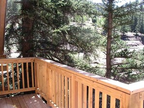 Property grounds - Log Cabin Rental with a Riverfront Balcony near Lake San Cristobal, Colorado (Lake City)