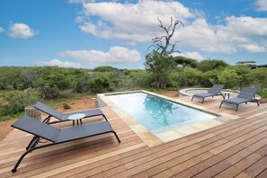 Pool - villa Kolobe modern bush villa (Hoedspruit)