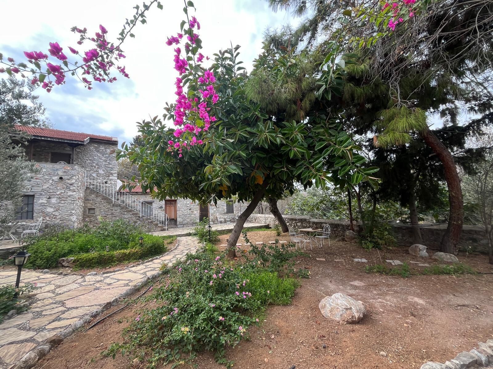 A stone building with a stone pathway leading to a seating area.