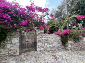 Property grounds - Zeytin Evi (Datca)