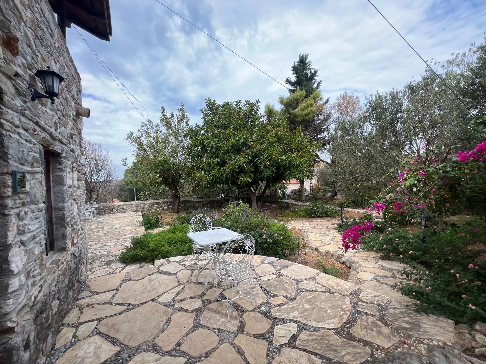 รับประทานอาหารกลางแจ้ง