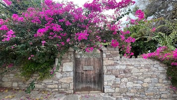 المنطقة المحيطة بالمنشأة