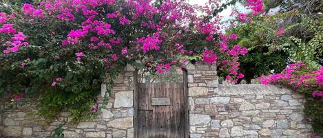 Enceinte de lâhĂ©bergement