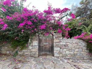 A stone wall with a wooden door, surrounded by vibrant pink bougainvillea flowers. - Zeytin Evi (Datca)