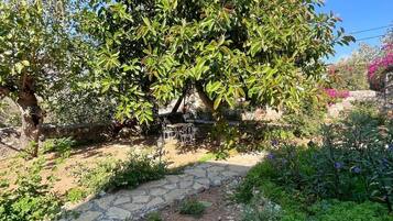 Um jardim com um caminho de pedra, uma mesa e cadeiras, e uma variedade de plantas e árvores.