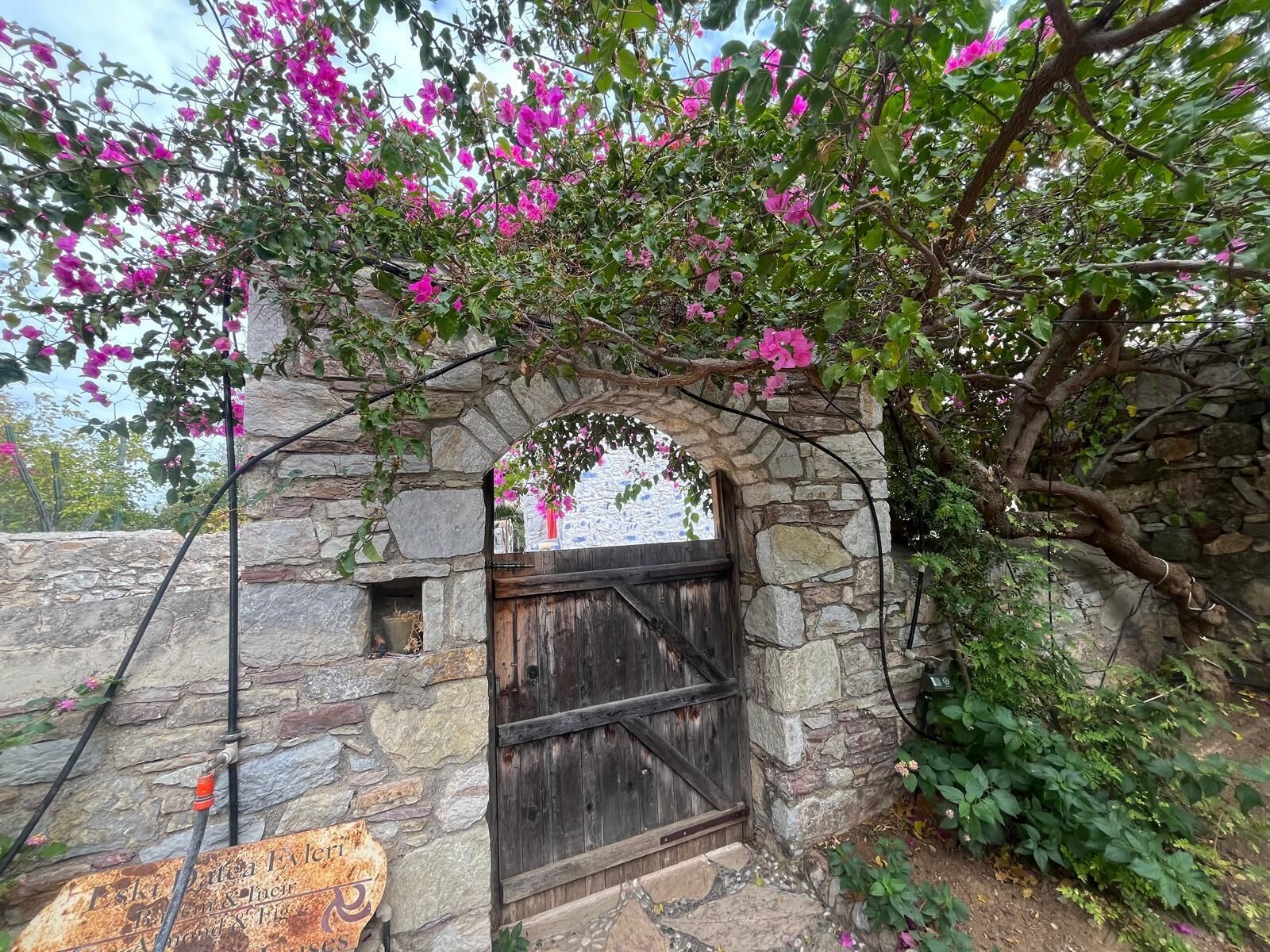 외부 세부 사진