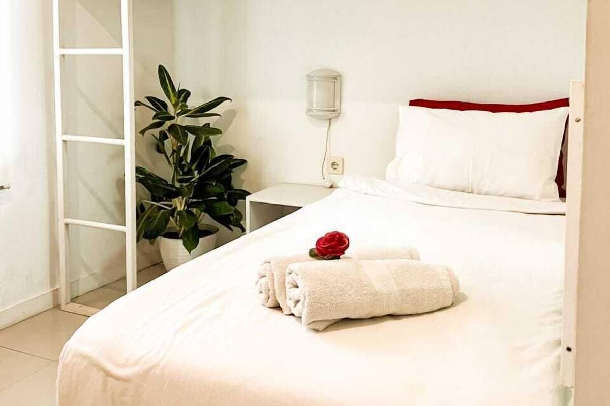 Une chambre avec un lit superposé, une échelle, une table de chevet, une plante en pot et une rose rouge sur le lit.